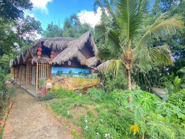 3 Days Vietnam Central Highlands Tour From Nha Trang